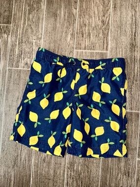 Hanna Andersson Boys Swim Trunks